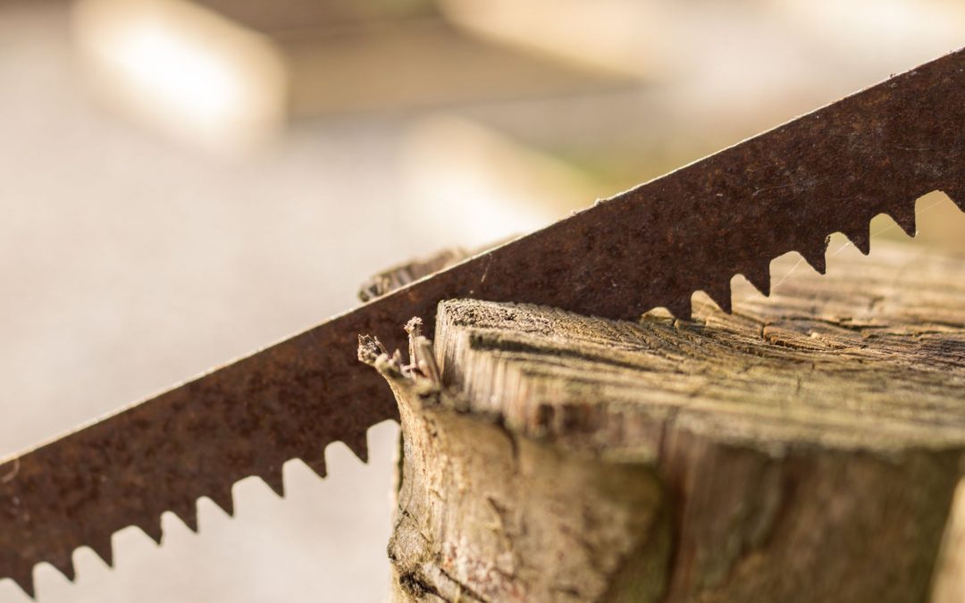 Exploring the Different Types of Saws for Woodworking