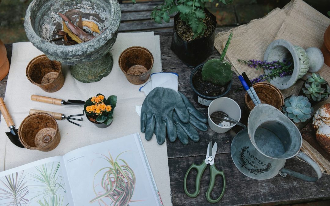 Must-Have Gardening Tools for a Beautiful Garden