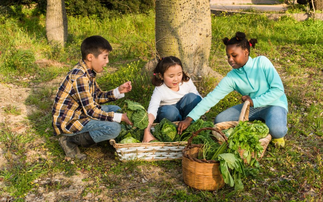 Key Benefits of Gardening with Children